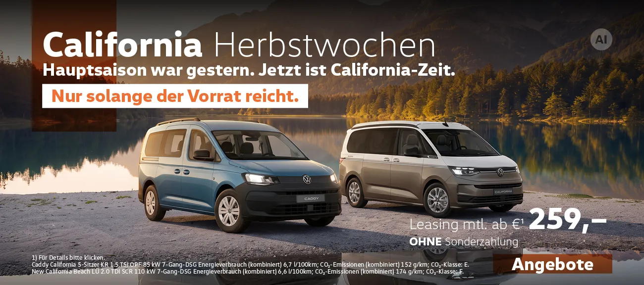 VW California Nfz Herbstwochen