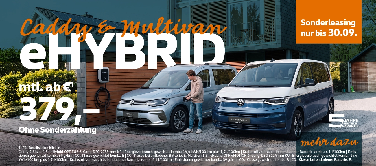 VW Caddy Multivan Aktion