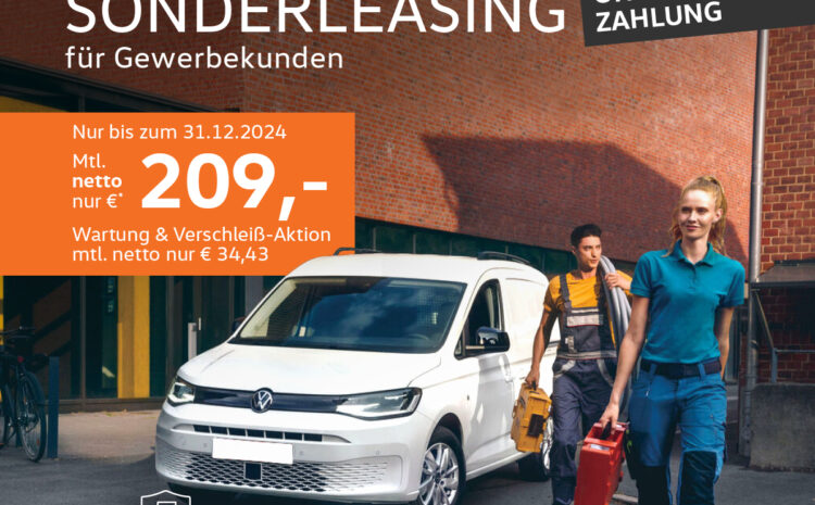  Caddy Cargo für Gewerbekunden