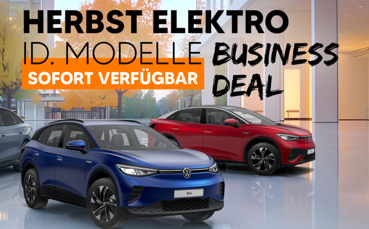  Herbst Elektro ID. Modelle DEAL