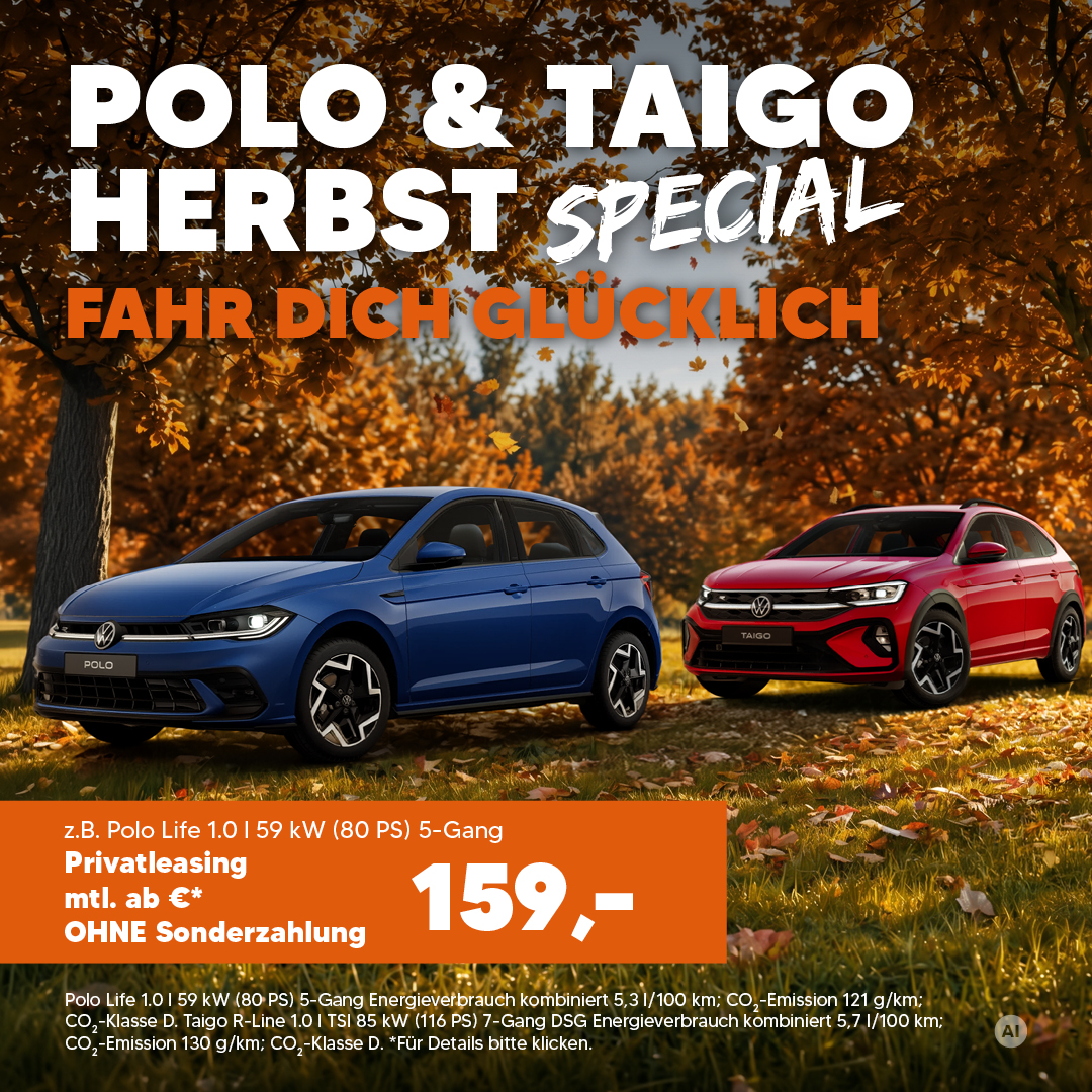 BEITRAG VW Polo + Taigo Herbst Special